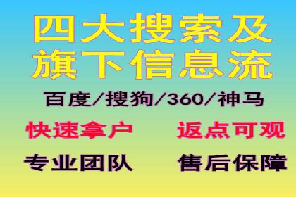 SEM推广实战：成功案例剖析